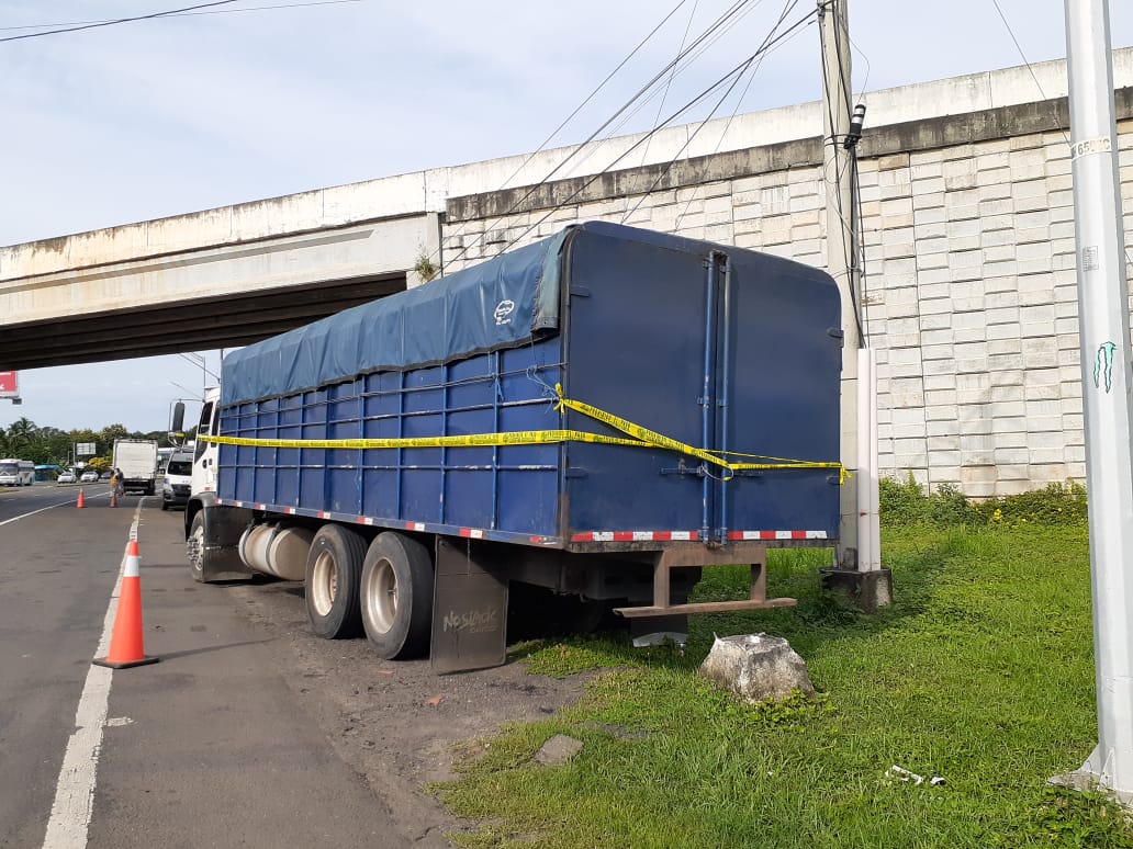 Al momento de la incautación, se pudo comprobar que la documentación que portaba el cargamento era falsificada, y además no contaban con la certificación emitida por el Ministerio de Desarrollo Agropecuario (Mida). Foto/Thays Domínguez