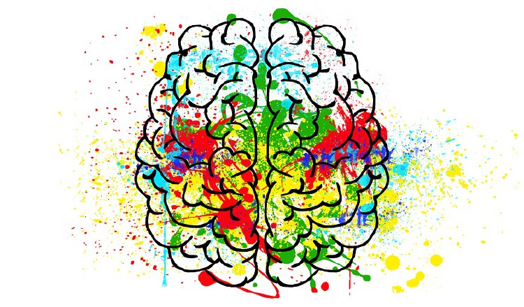 A través de la neuroimagen pueden ver cómo se comporta el cerebro humano en un momento determinado.