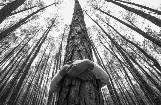 El objetivo es que los niños entiendan, internalicen y correspondan, a los valores solidarios y comportamientos responsables que deben tener con respecto al ambiente. Foto: EFE.