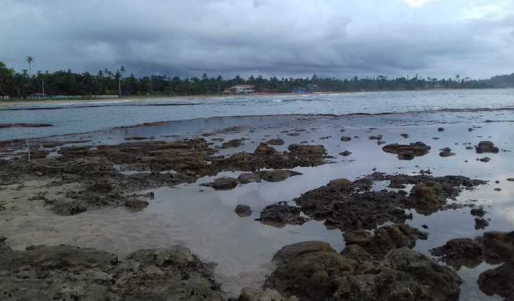 Palenque está ubicado en el distrito de Santa Isabel. /Foto Lissette Zorrilla