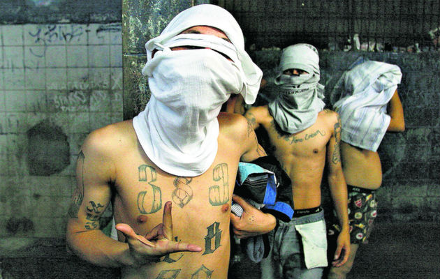 Los 14 sujetos supuestamente son integrantes de la pandilla MON del corregimiento de Curundú.