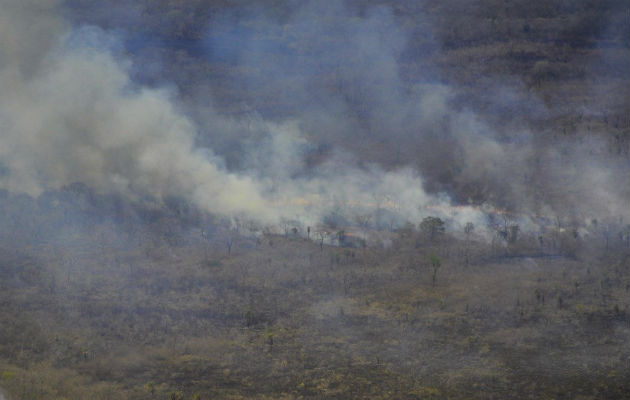  Incendio en la zona del Pantanal en Paraguay. Foto: EFE.