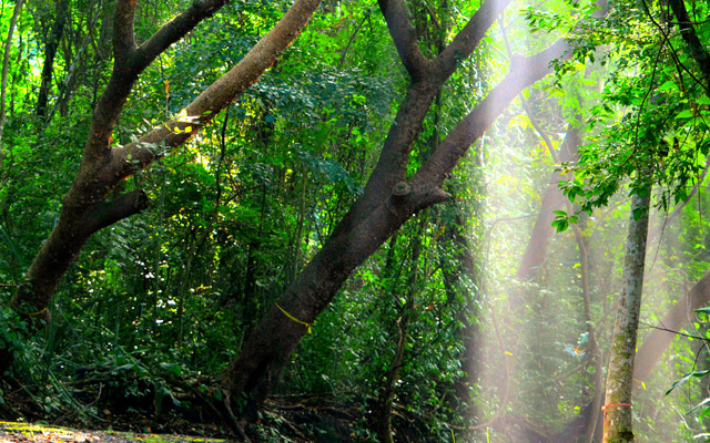 Parque Natural Metropolitano.