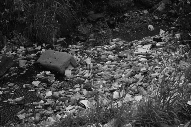 La avalancha de desechos, entre ellos botellas de plástico, además de contaminar el ambiente, destruye la flora y fauna acuática de ríos, mares y lagos. Foto: Archivo Epasa.