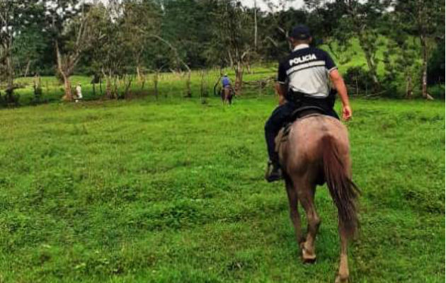 Policía Nacional patrulla a caballo en fincas de Panamá Norte. Foto/Cortesía