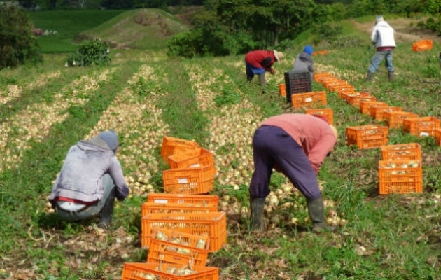 Hoy 8 de octubre se celebra el Día del productor