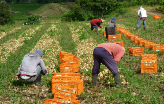 Productores ven difícil que las autoridades hagan en dos días lo que no han hecho en seis meses.