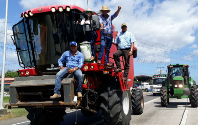 Productores de Azuero