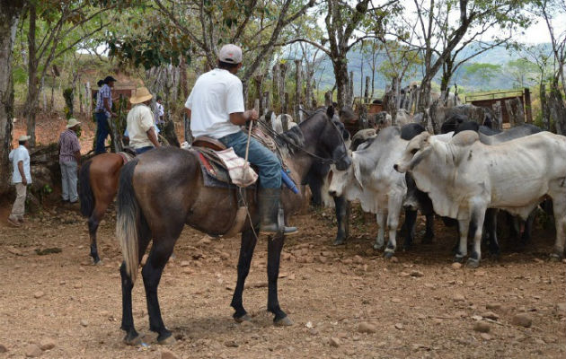 Los ganaderos al rescate y Anagan de Los Santos anunciaron protestas para el próximo martes 4 de diciembre