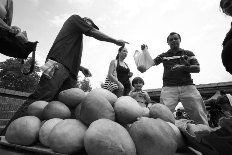 El agricultor se empeña por producir, de sol a sol, los frutos de la tierra que ponemos en nuestras mesas. Foto: EPASA.