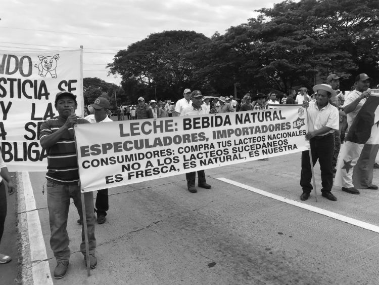 Importaciones siguen, igual el desempleo de mano de obra calificada y no calificada, productores pierden sus fincas, maquinarias, todo por falta de voluntad del Gobierno.