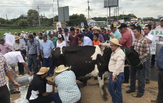 Productores manifestaron sentirse preocaupados por la situación que vive el agro panameño.