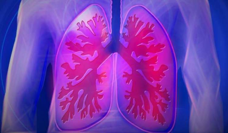 Por la salud de los pulmones. Foto: PIxabay