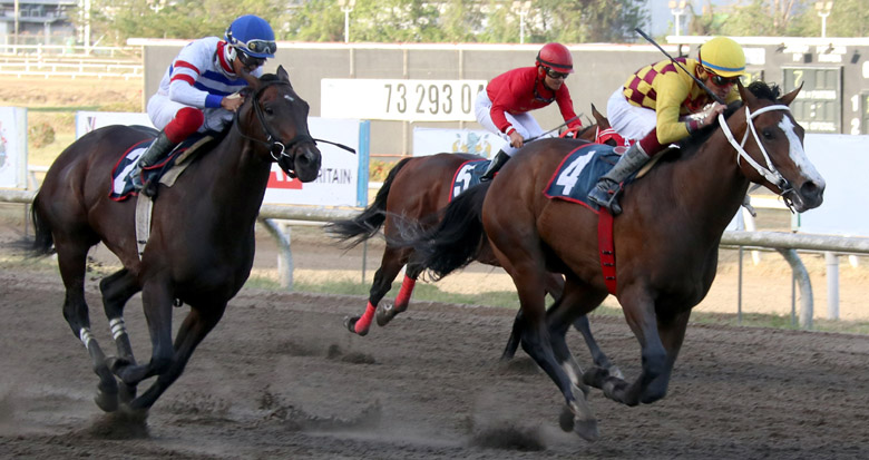 Red Carpet Prince tratará de ganar su primera carrera de la temporada.