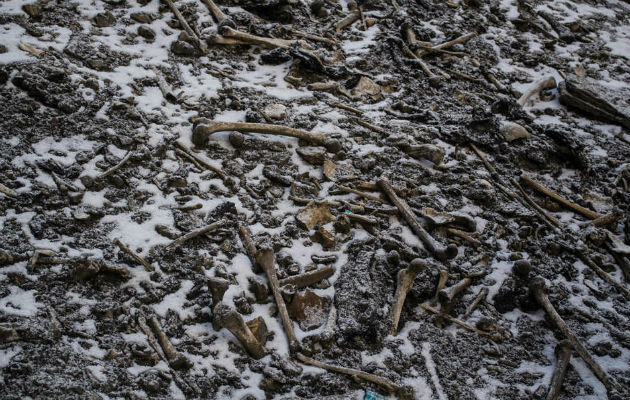 Un análisis de los huesos en el lago Roopkund identificó a personas de diferentes edades, pero sin relación sanguínea. (Himadri Sinha Roy)