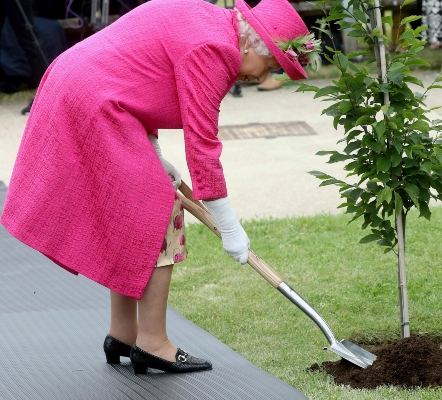 Determinada a cumplir la tarea, la reina le entregó su bolso negro a una de sus damas de honor y se puso manos a la obra. FOTO/AP