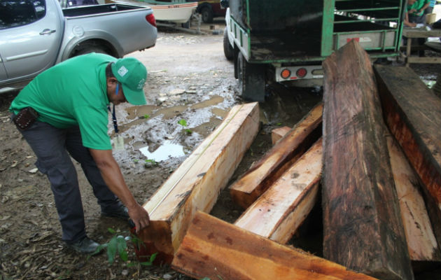 Se investiga el origen de la madera retenida. Foto: Thays Domínguez. 