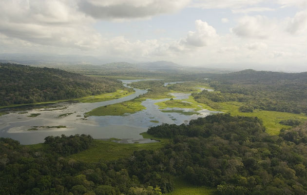 El Río Chagres es el principal afluente del Canal de Panamá. Los terratenientes en la Cuenca pueden tomar decisiones sobre el uso de la tierra más respetuosas con el medio ambiente cuando existen programas de Pago por Servicios de los Ecosistemas. Crédito: Archivos Smithsonian