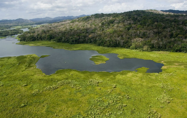 Cuenca del Río Chagres, principal afluente del Canal de Panamá. Crédito: Archivos Smithsonian