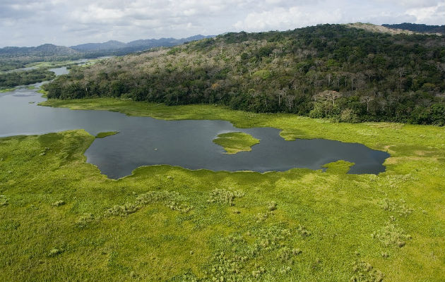 Cuenca del Río Chagres, principal afluente del Canal de Panamá.  Crédito:  Archivos Smithsonian