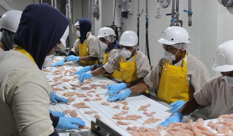 Los trabajadores piden un incremento que se ajuste a la realidad. Foto de archivo