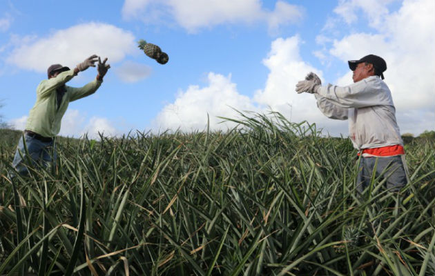 Congreso Nacional de Agroexportación No Tradicional, facilitará el incremento de las exportaciones.