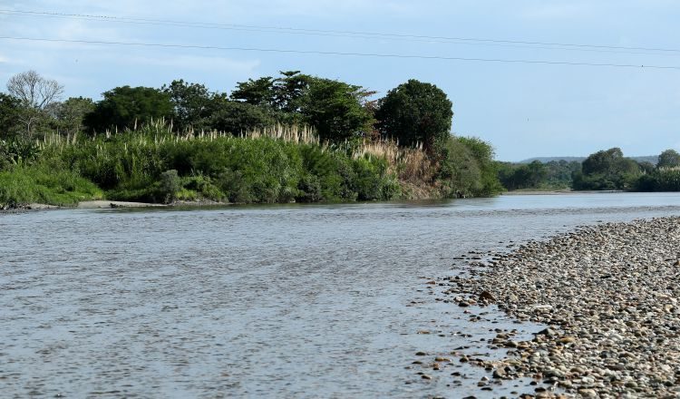 Quienes buscan una experiencia distinta buscan el río Magdalena en Colombia, donde también practican la pesca. /Foto EFE
