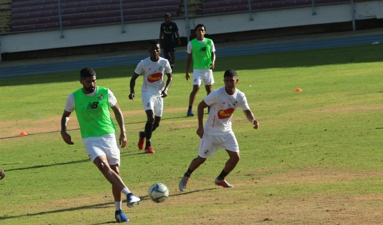 El engramado se ve en malas condiciones. Foto/ Anayansi Gamez