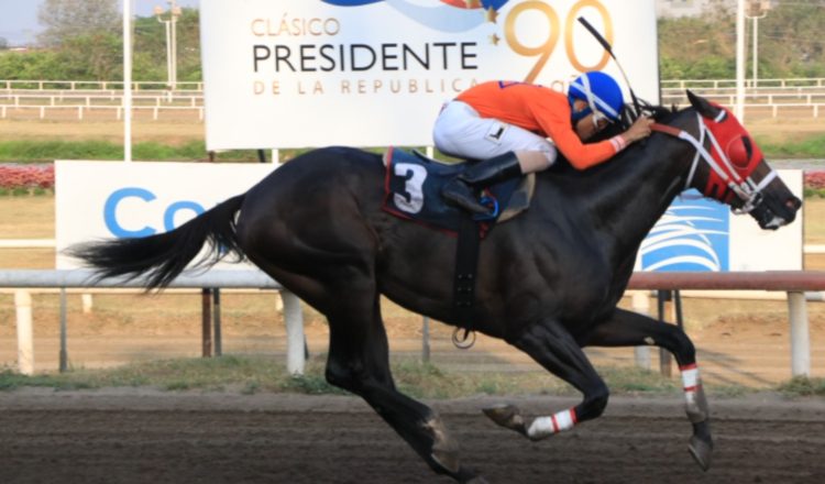 Macherano Manía hará su segundo intento en esta carrera. Cortesía
