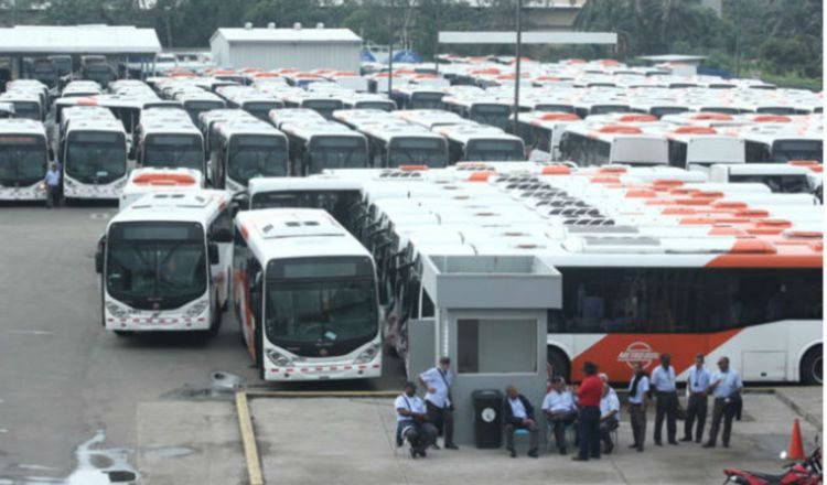 Paralelo a la falta de buses en las calles, hay cientos en los patios. Archivo