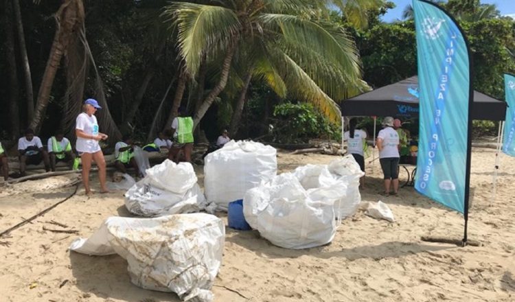 Cerca de 700 especies marinas están en riesgo por los efectos de la contaminación del plástico y microplástico que llegan a los océanos. Cortesía