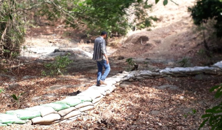 Las fuentes de agua se secan. Thays Domínguez
