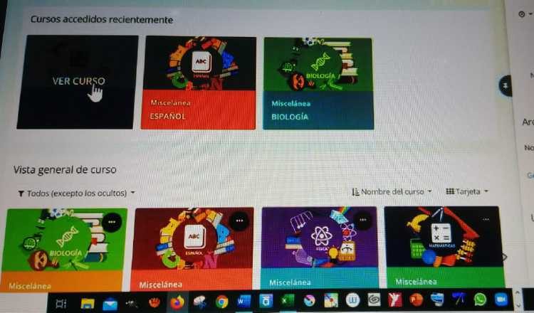 El Estado ha brindado facilidades para la conectividad.