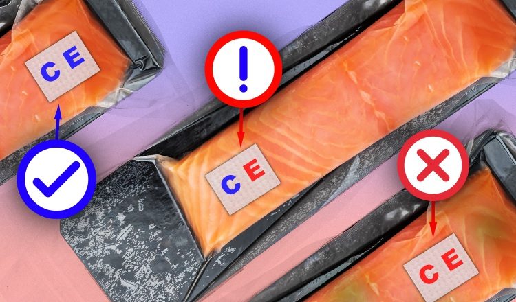 Los investigadores sujetaron el sensor a un filete de pescado crudo contaminado con E. coli.