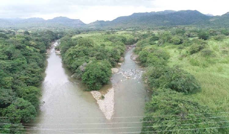 La suspensión de permisos para talar con fines de subsistencia fue prorrogada por un año. Foto ilustrativa
