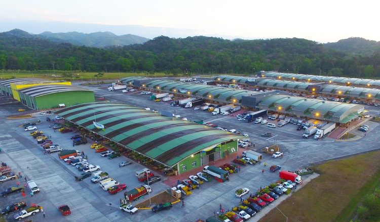 Los comerciantes llenaron la data requerida por el Mici. Archivo