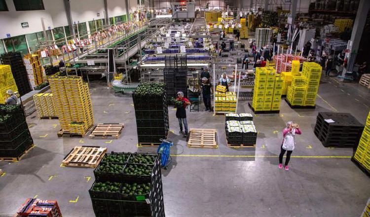 México se mantuvo como el principal socio comercial de Estados Unidos durante el primer trimestre de 2021. EFE