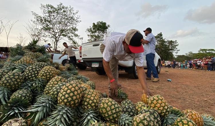 La feria es aprovechada para realizar paseos agroturísticos, los cuales tienen una duración de 30 minutos.  Fotos: Eric A. Montenegro