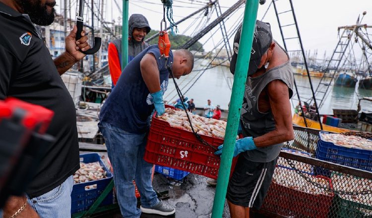 Se requiere  fortalecer los sistemas de extensionismo acuícola, que incorpore tecnologías digitales y se adecúe a las condiciones locales. FAO