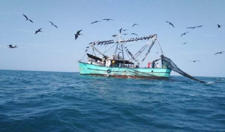 Política cero tolerancia contra la pesca ilegal.