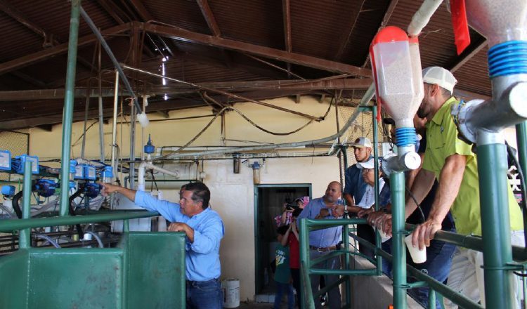 El programa también almacena datos  de las vacas, fecha de nacimiento, progenitores.  Senacyt