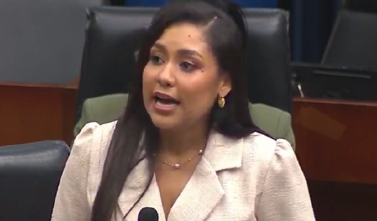 La diputada Yamireliz Chong sustentó la citación de Vamos. Internet