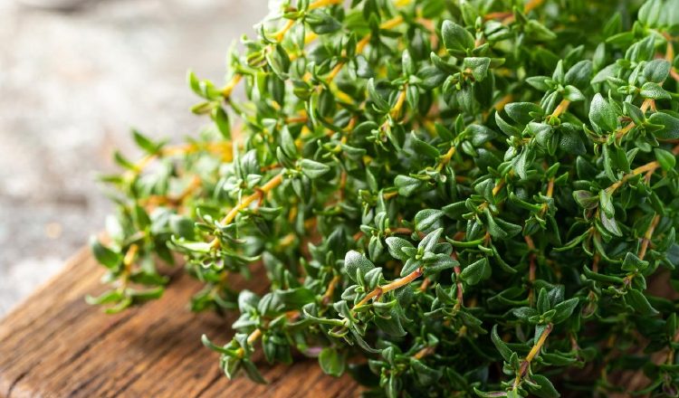  Ilustrativa / Cortesía / Freepik