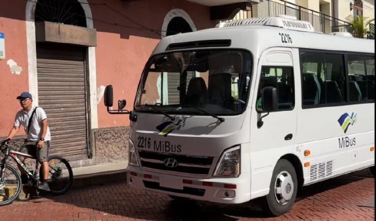 Los buses alquilados están dando problemas a MiBus.  Archivo