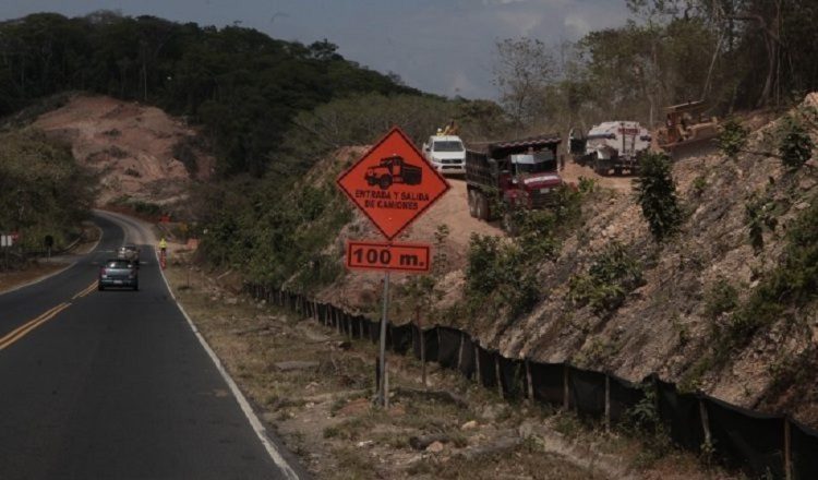Los trabajos iniciales fueron criticados por la gran cantidad de árboles que fueron talados.  Archivo