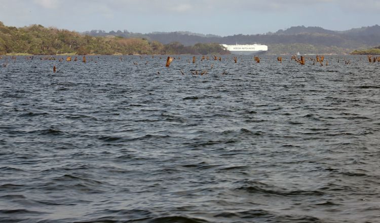 El Canal de Panamá requiere del agua para el consumo humano, en primer lugar, y para su operación Cortesía