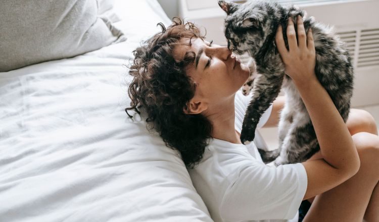 La figura del gato doméstico se ha convertido en un icono indispensable de la cultura de Internet y la vida cotidiana. Sam Lion / Pexels