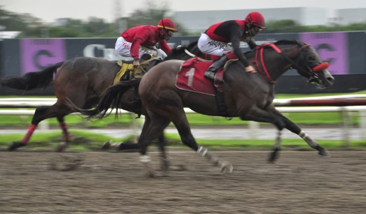 Metros finales del Clásico Junta de Control de Juegos del año pasado.  Foto Omar Yerar Batista