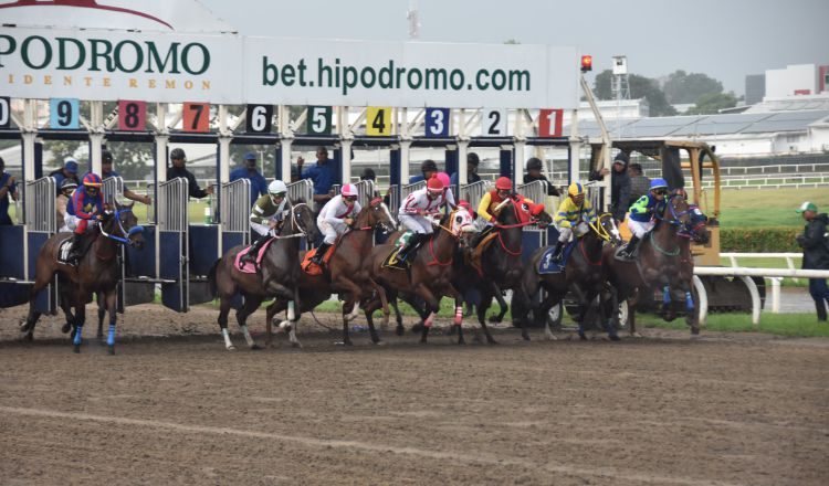 La carrera es una de las más esperada en el Hipódromo Presidente Remón. Foto: Boris Valdivieso. 