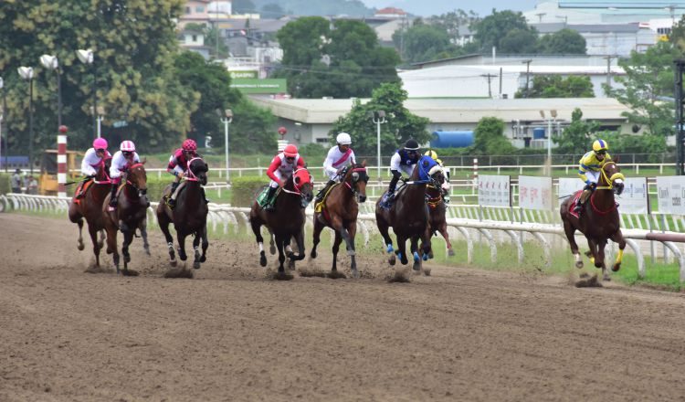 Segunda selectiva rumbo al Clásico Internacional del Caribe. Foto: Foto Boris Valdivieso